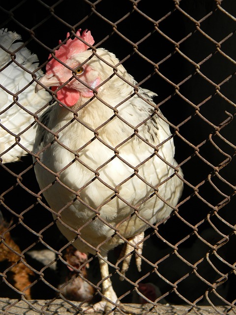 学会了正视 学会了正视