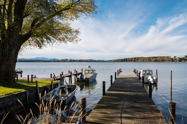 不会直接导 不会直接导