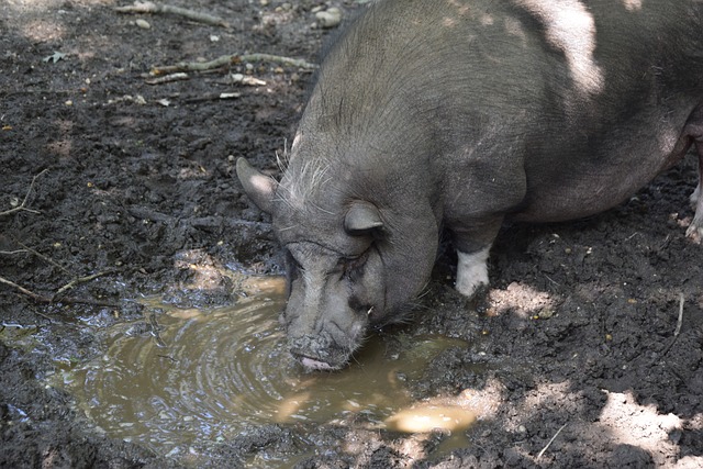 科学跑步 科学跑步