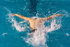 战术体系到 战术体系到