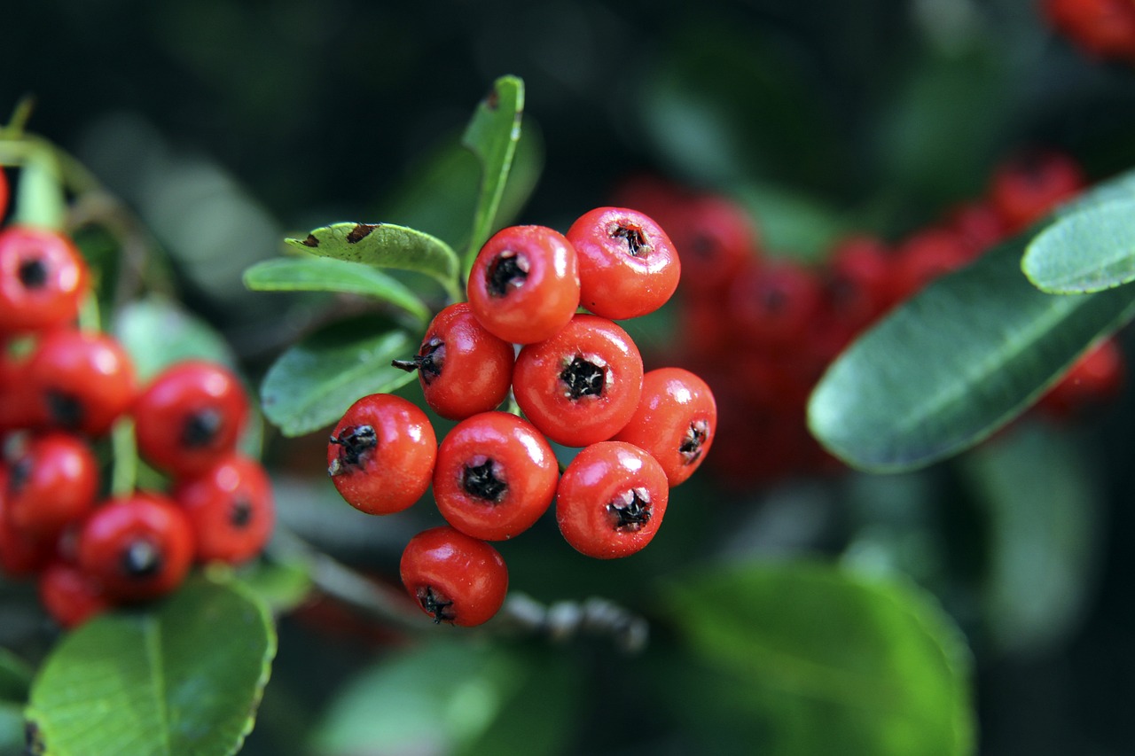 境中建立起 境中建立起