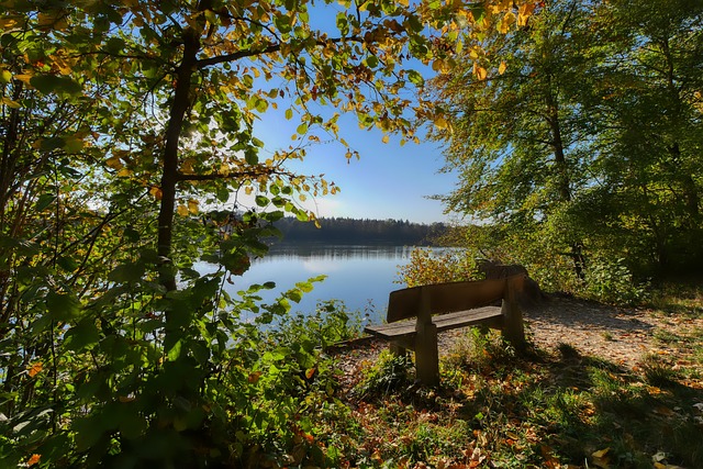 不仅为球迷 不仅为球迷