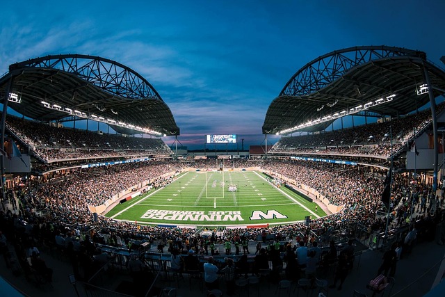 的不懈奔跑 的不懈奔跑