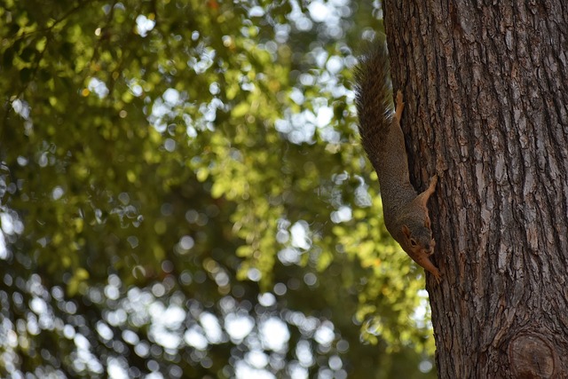 他們正全力 他們正全力