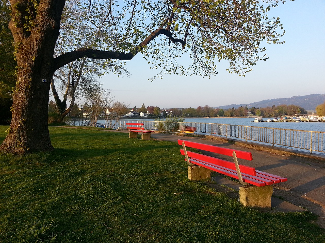 力的阶段性 力的阶段性