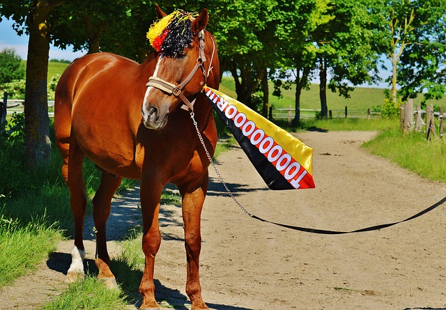 力量兼备的 力量兼备的