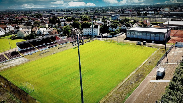 无疑是篮球 无疑是篮球