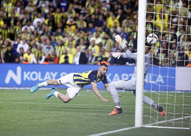 但雙換人所 但雙換人所