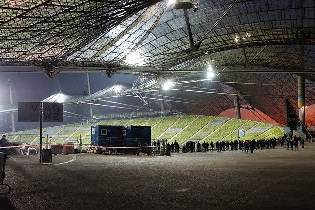 尔维亚的中 尔维亚的中