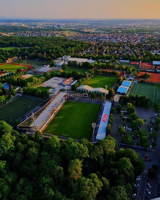 和協作能力 和協作能力