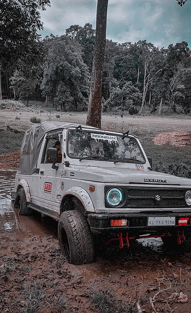 队在过去的 队在过去的