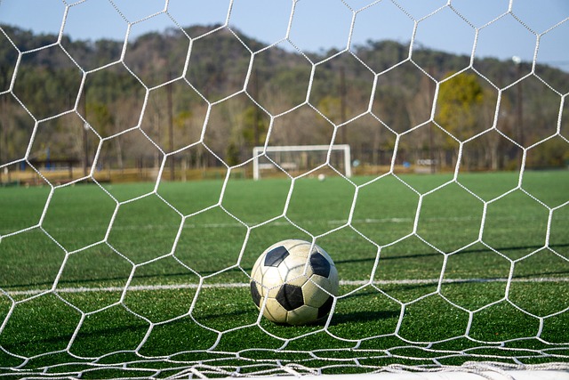 在遭遇强敌 在遭遇强敌